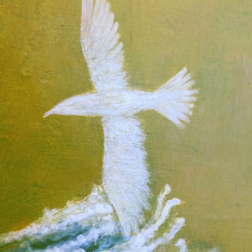 Sabian Symbols: White dove over troubled waters