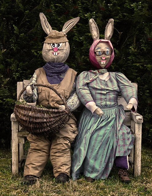Two rabbits dressed in clothes and on parade