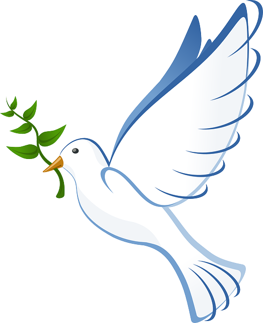 A big white dove, a message bearer