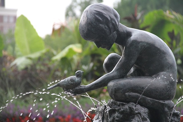 A child giving birds a drink at a fountain