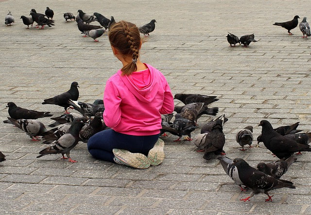 A young girl feeding the birds in winter
