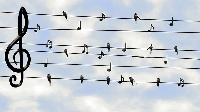 Birds in a house singing happily