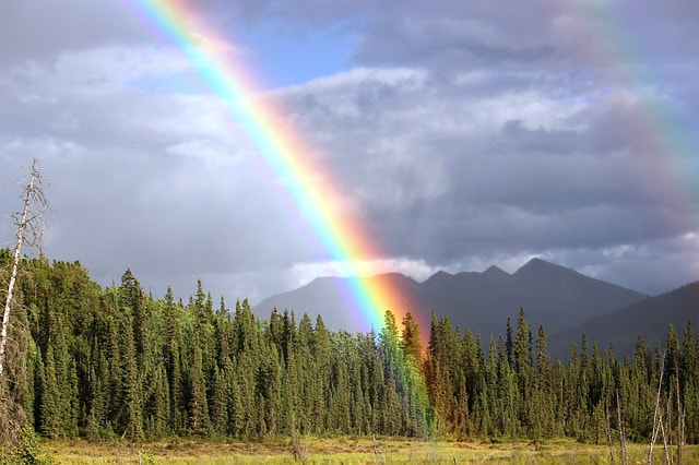 The rainbow's pot of gold